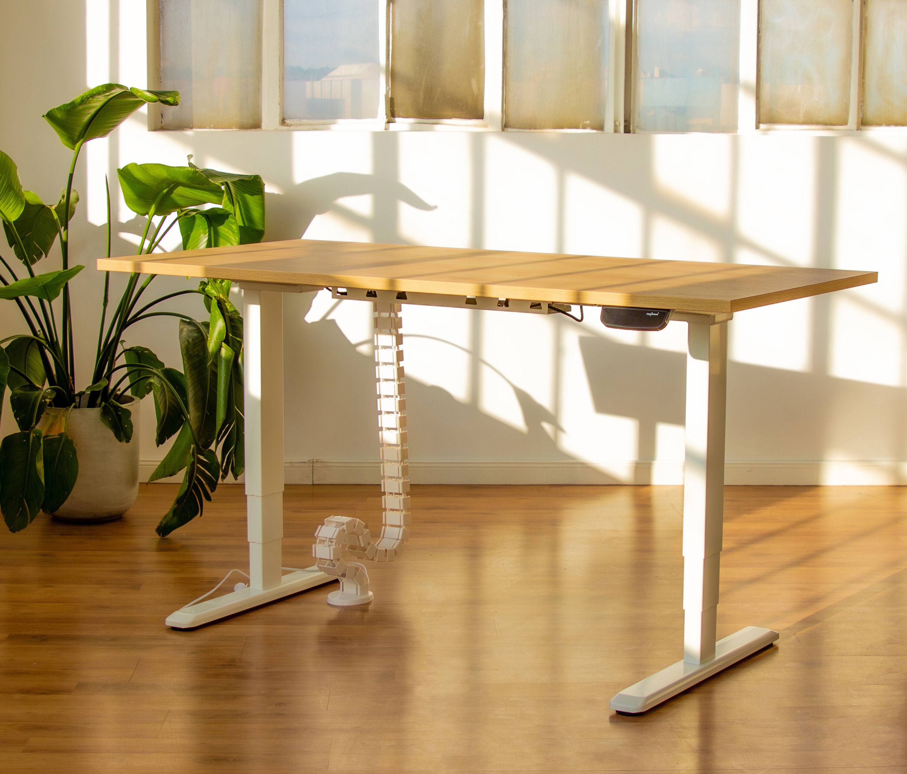 PRIMUS XL Scrivania - Decoro: Bianco top | Struttura: Bianco | Dimensione del piano: 200x100