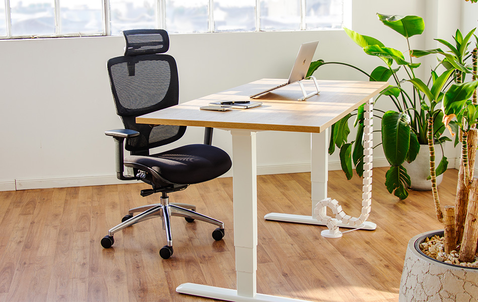 SCRIVANIA PRIMUS / SCRIVANIA PRIMUS XL