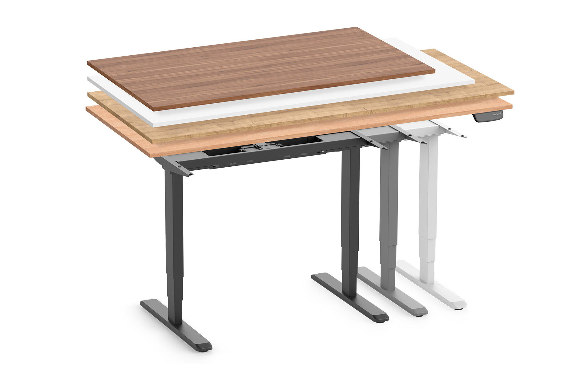 PRIMUS SPEED – IN 144 VARIANTEN VERFÜBAR